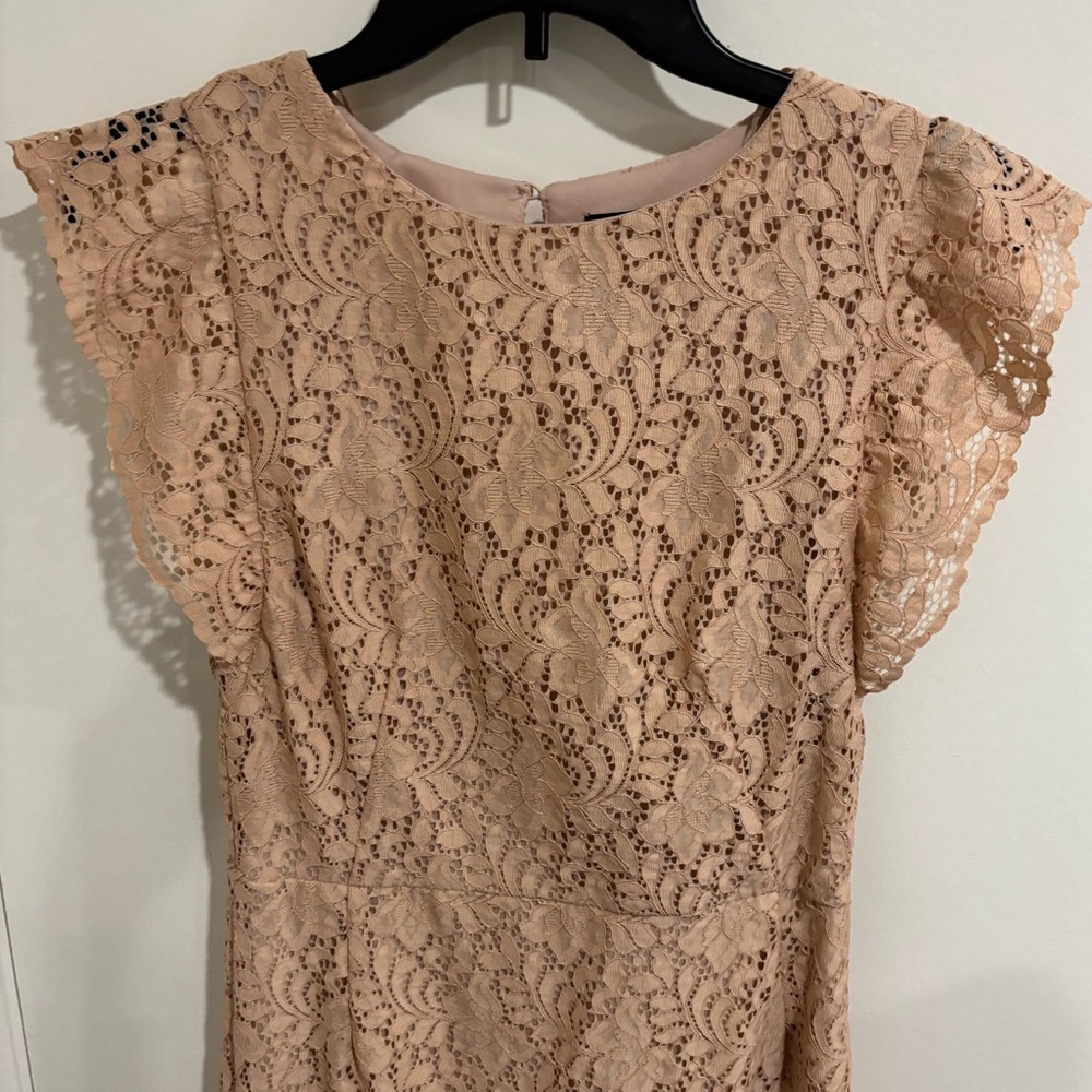 ZARA Elegant Lace Dress, Medium - Picture 4 of 9